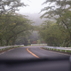 Illustration for article titled How To Find One Of Japan's Best Driving Roads Just Two Hours Outside Tokyo